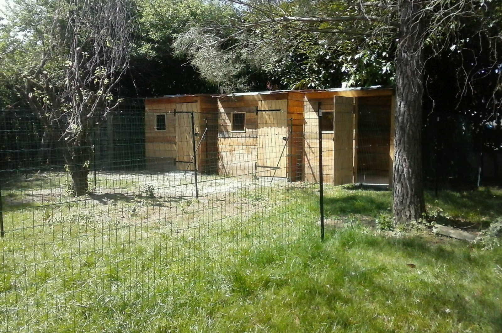 Les Terres D'azade Pension Chiens Et Chat
